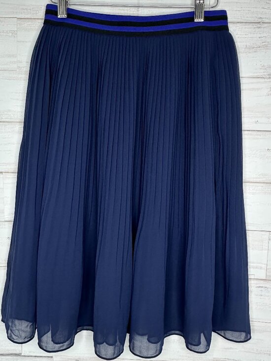NWOT A New Day Pleated Lined A-Line Full Skirt in Xavier Navy Blue Size Small - Picture 3 of 8